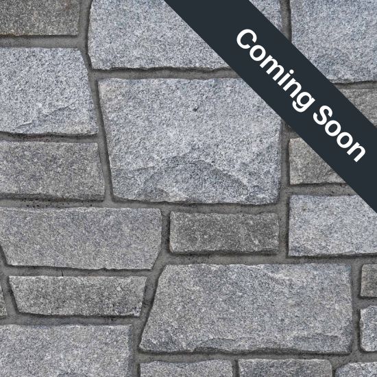 Quarry Ledgestone® Pangaea® Natural Stone | CSI ENG