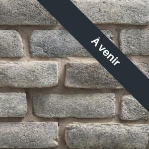 Dutch Quality Stone® - Handformed Brick™, Quail Grey avec demi pouce joints de mortier