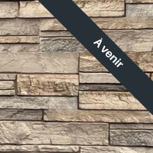 Versetta Stone® - Ledgestone, Glen Canyon