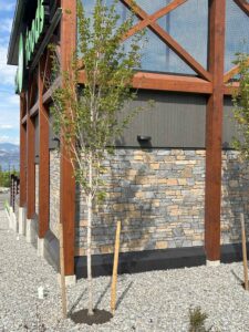 Pangaea® Natural Stone – Quarry Ledgestone®, Lancaster